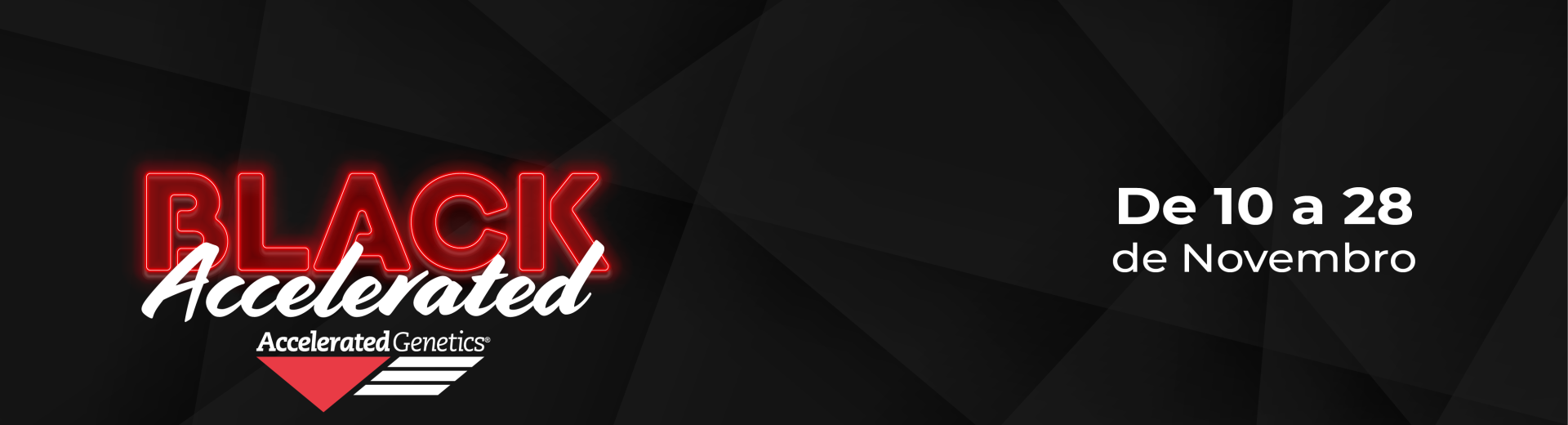 Black da accelerated