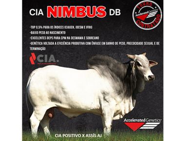 CIA NIMBUS DB - Nova contratação Accelerated Genetics