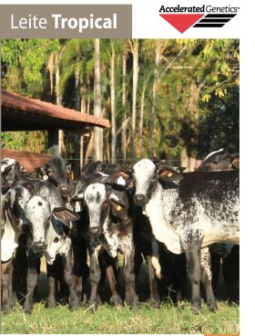 CATÁLOGO LEITE TROPICAL 2026