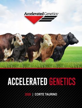 CATÁLOGO TAURINO 2026