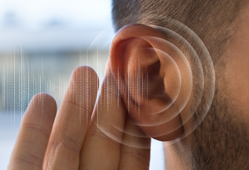 Curiosidades sobre o ouvido e a audição