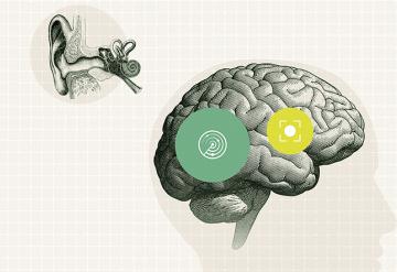 Aprenda tudo sobre a tecnologia BrainHearing