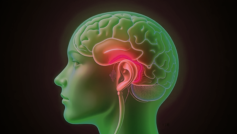 Você conhece “memória auditiva”?