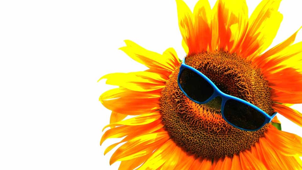 Óculos escuros sem filtro solar prejudicam a visão?