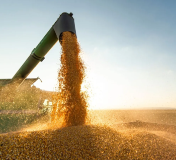 A importância de capacitar quem trabalha com a produção de alimentos.