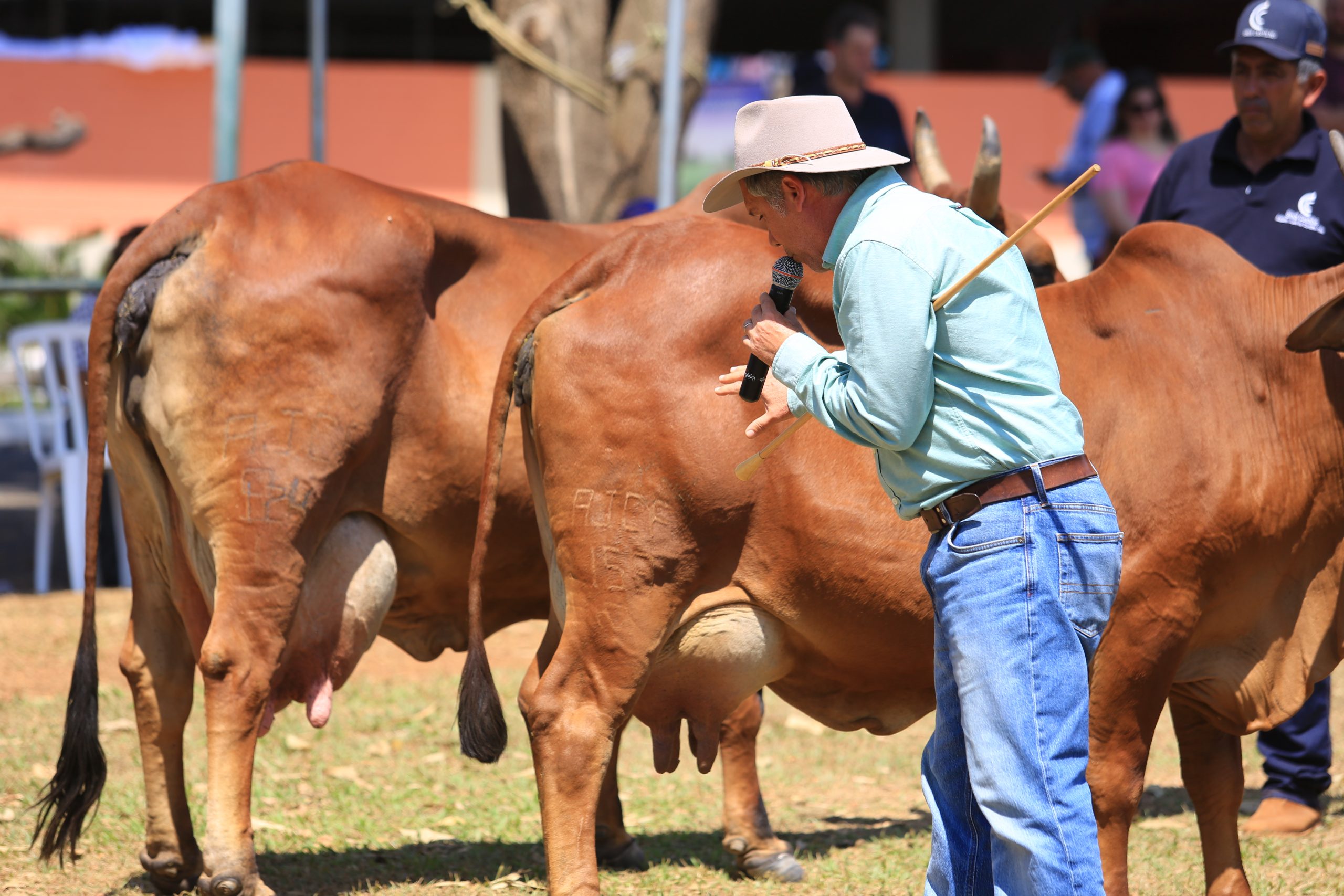 Conheça jurados do Sindi na ExpoZebu