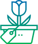 Floricultura
